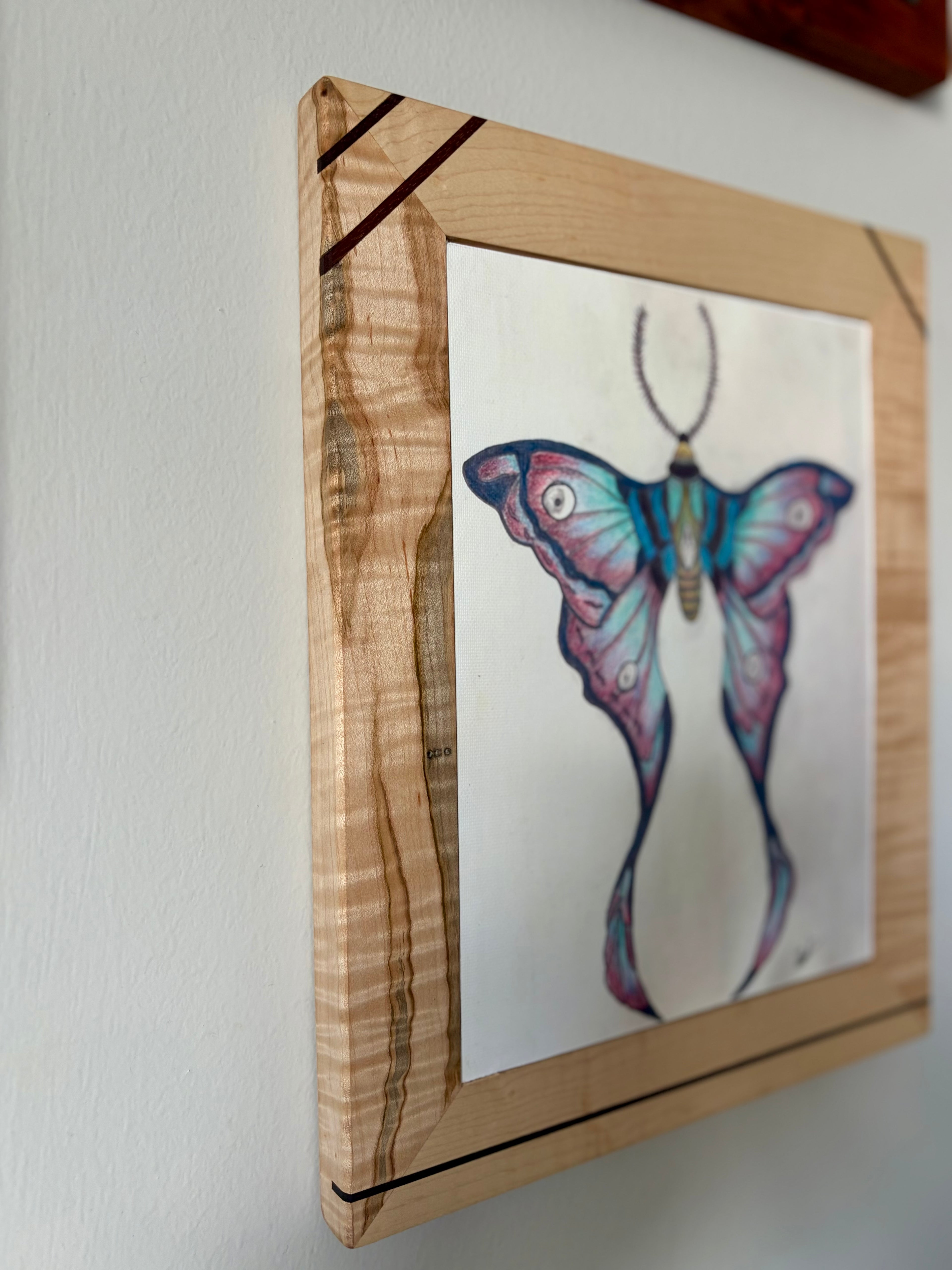 Luna Moth Canvas Print 8.5" x 11" | Original Colored Pencil Nature Art