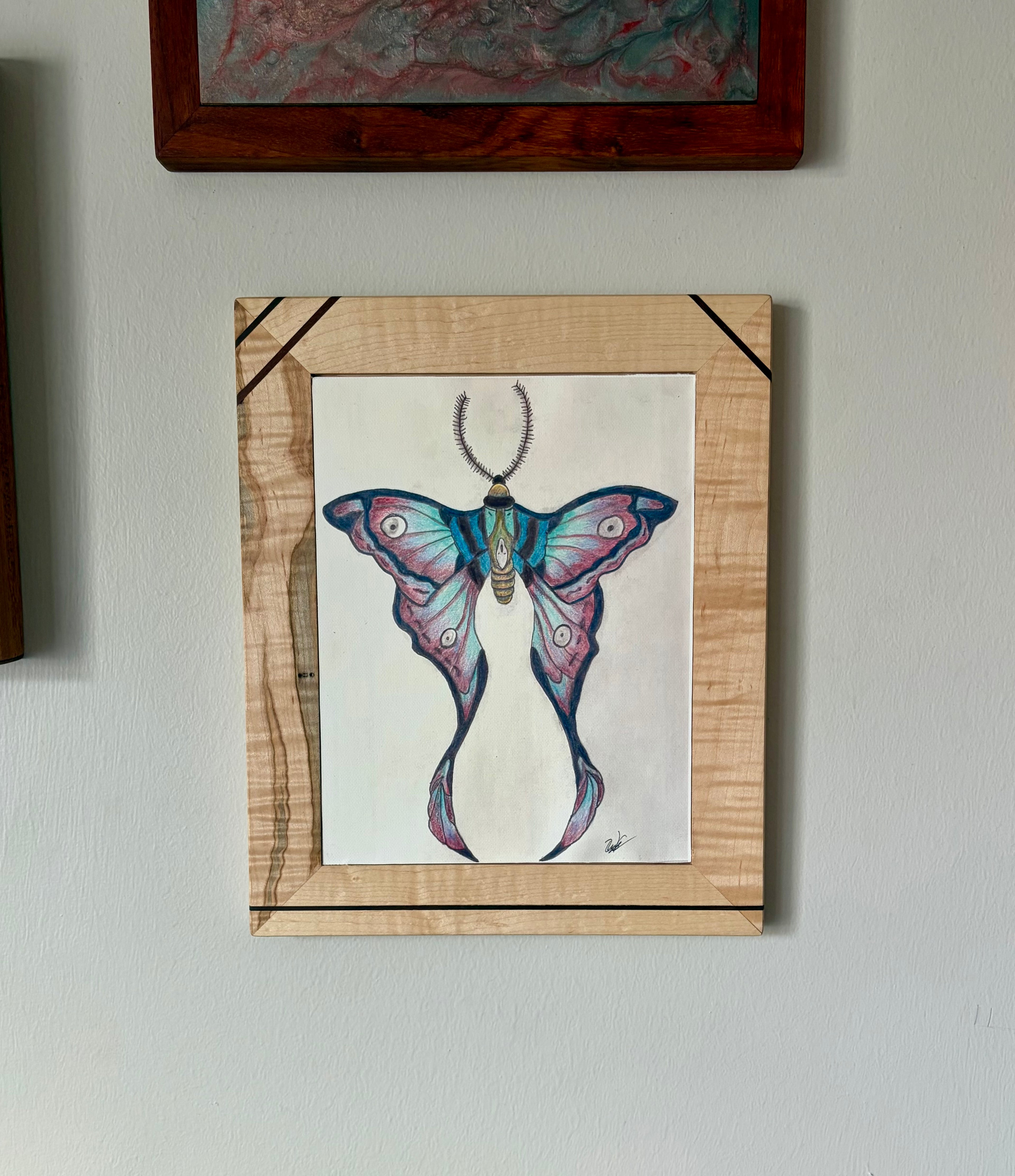 Luna Moth Canvas Print 8.5" x 11" | Original Colored Pencil Nature Art
