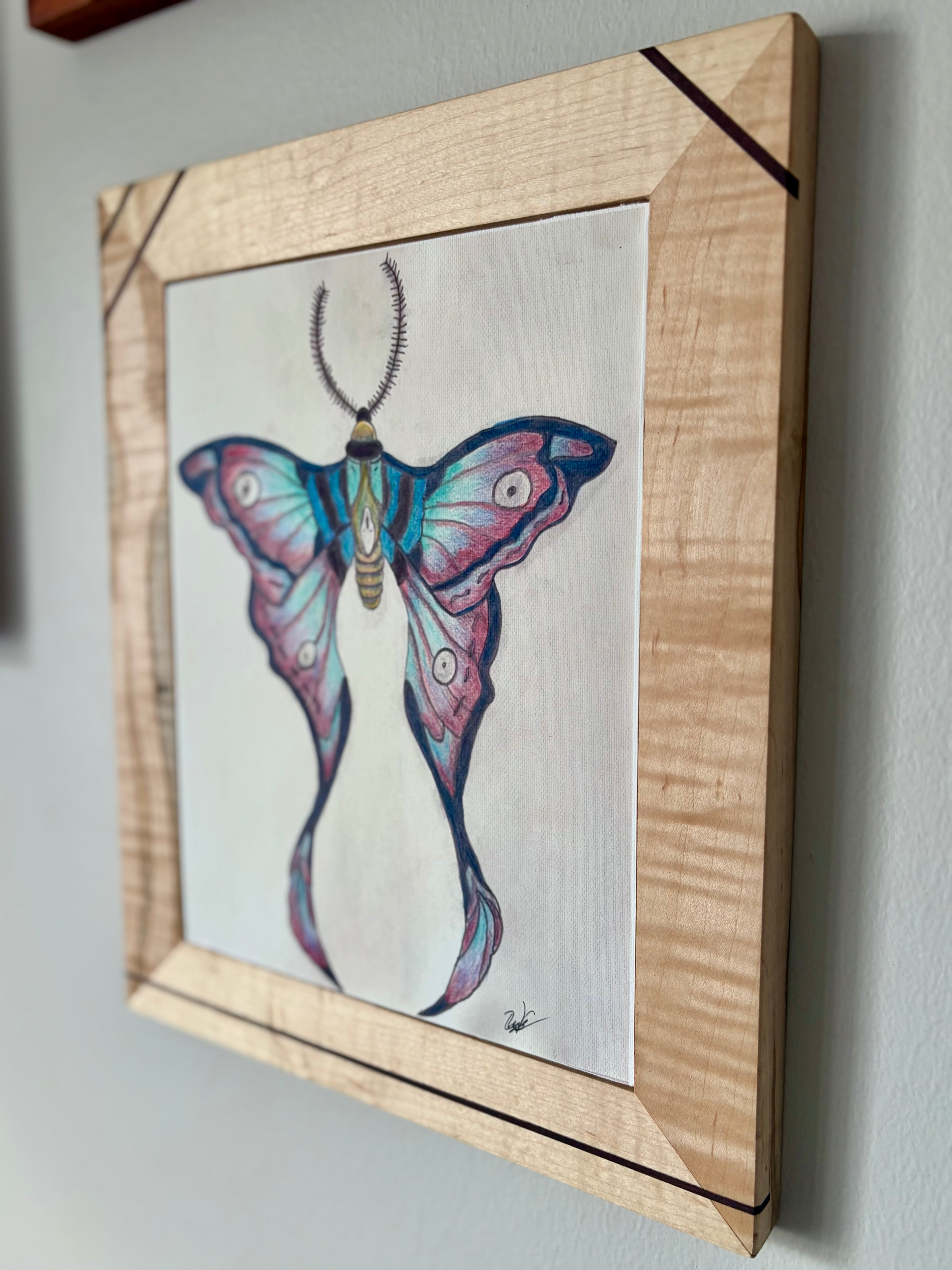 Luna Moth Canvas Print 8.5" x 11" | Original Colored Pencil Nature Art