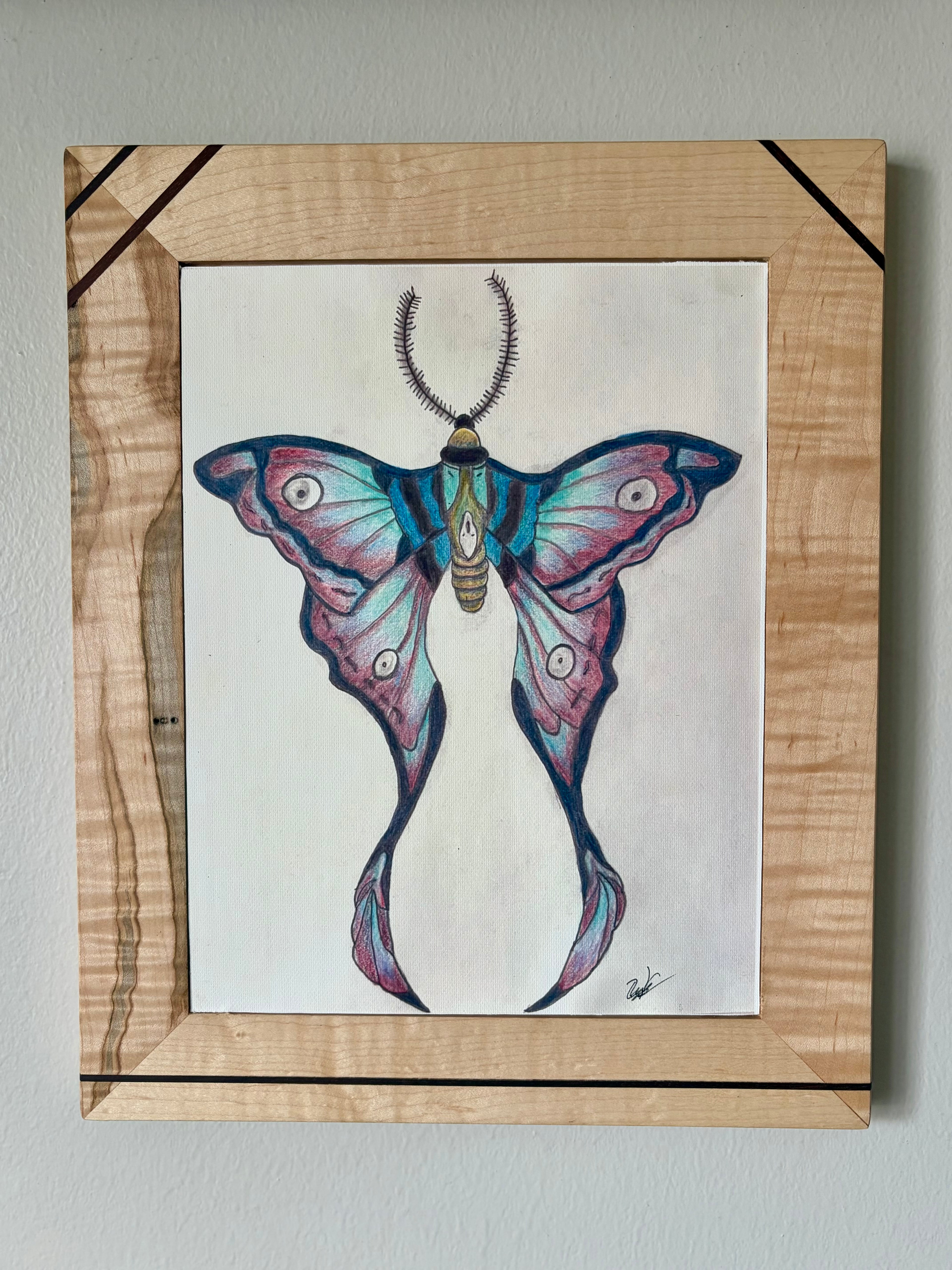 Luna Moth Canvas Print 8.5" x 11" | Original Colored Pencil Nature Art