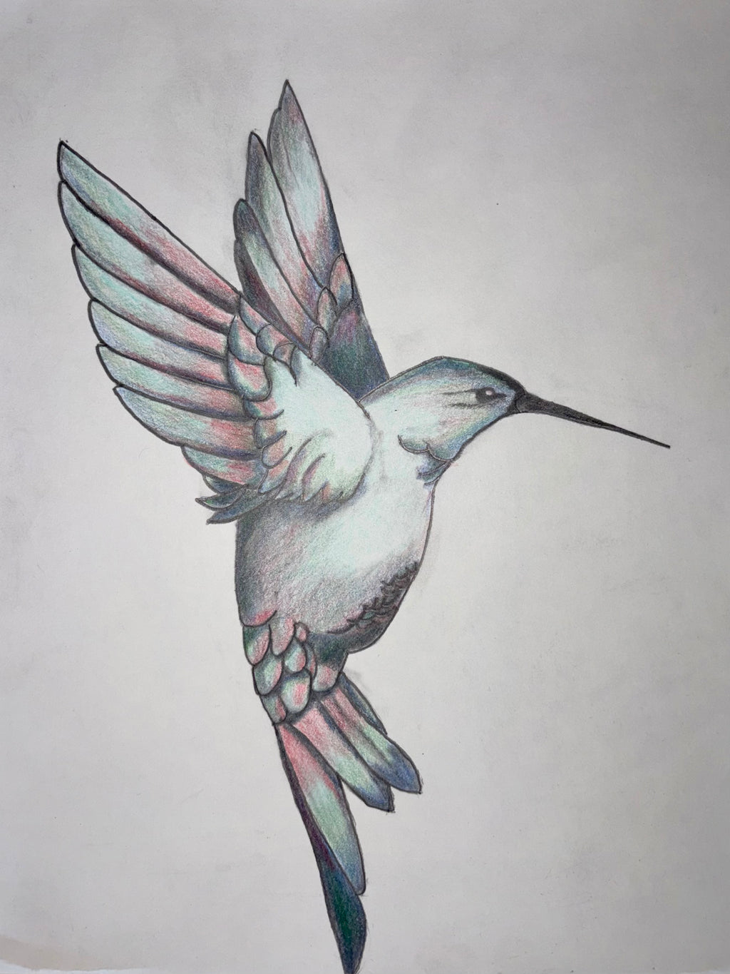 Hummingbird Sketch Canvas Print – Original Bird Artwork on Cotton Canvas