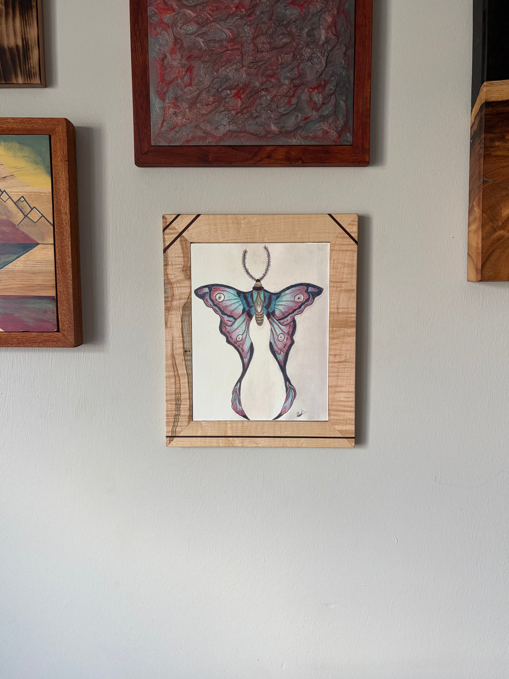 Luna Moth Canvas Print 8.5" x 11" | Original Colored Pencil Nature Art
