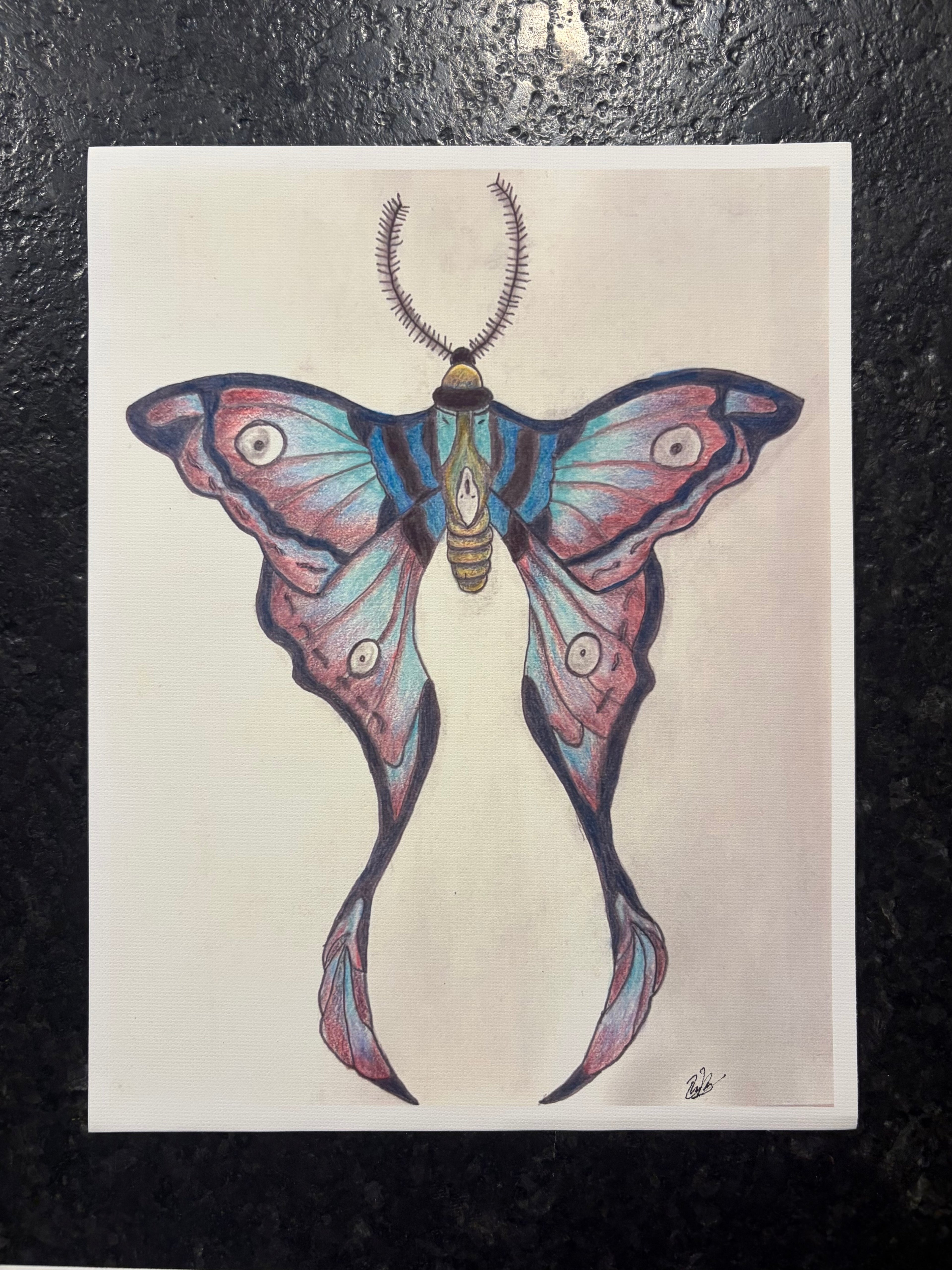 Luna Moth Canvas Print 8.5" x 11" | Original Colored Pencil Nature Art