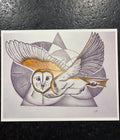Labyrinth Goblin King Tribute Owl Canvas Print – Original Fantasy Sketch | 8.5" x 11"