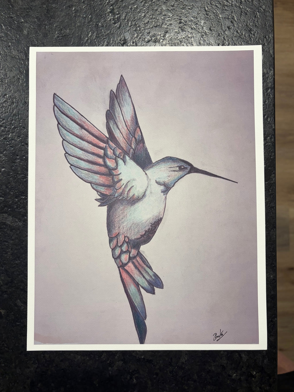 Hummingbird Sketch Canvas Print – Original Bird Artwork on Cotton Canvas