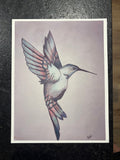 Hummingbird Sketch Canvas Print – Original Bird Artwork on Cotton Canvas