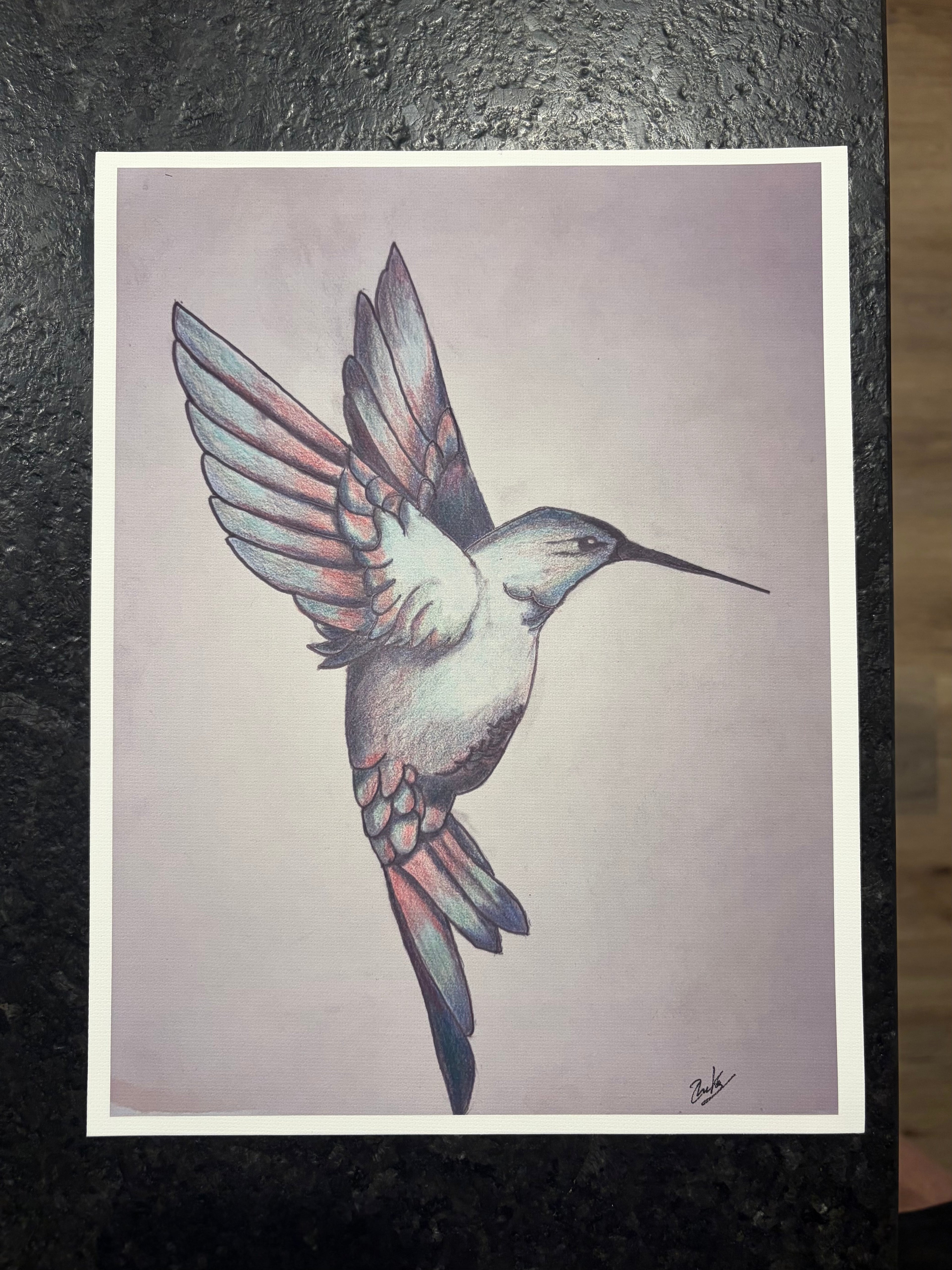 Hummingbird Sketch Canvas Print – Original Bird Artwork on Cotton Canvas