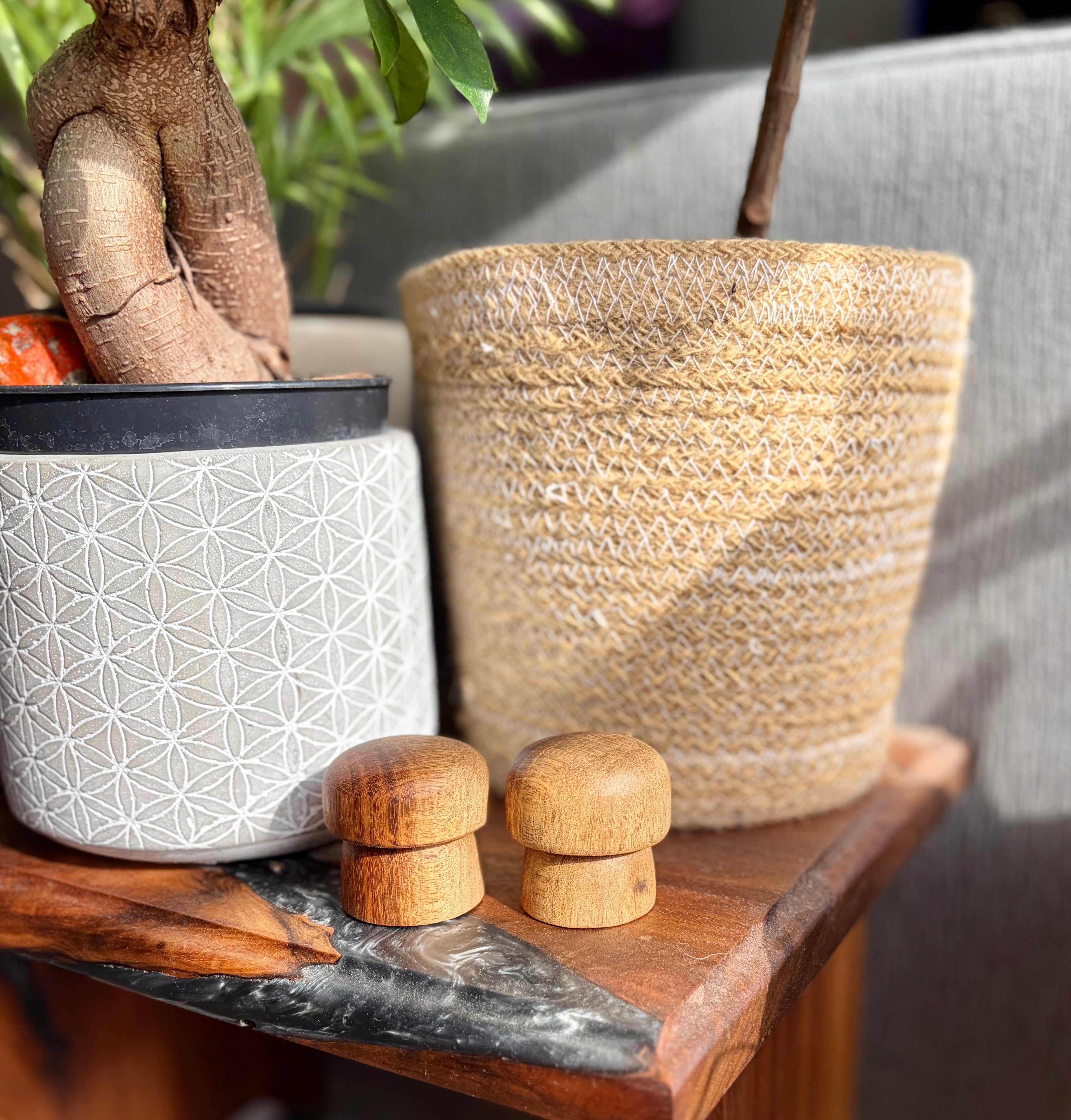 Jatoba Wood Mushrooms – Hand Turned Exotic Hardwood Decor – Set of 2 Natural Wood Sculptures