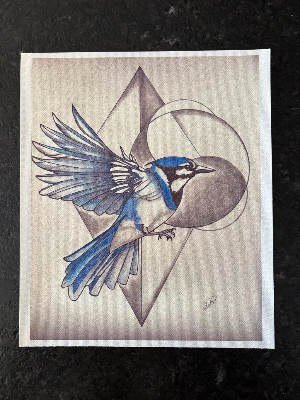 Blue Jay Geometric Canvas Print – (8.5" x 11")