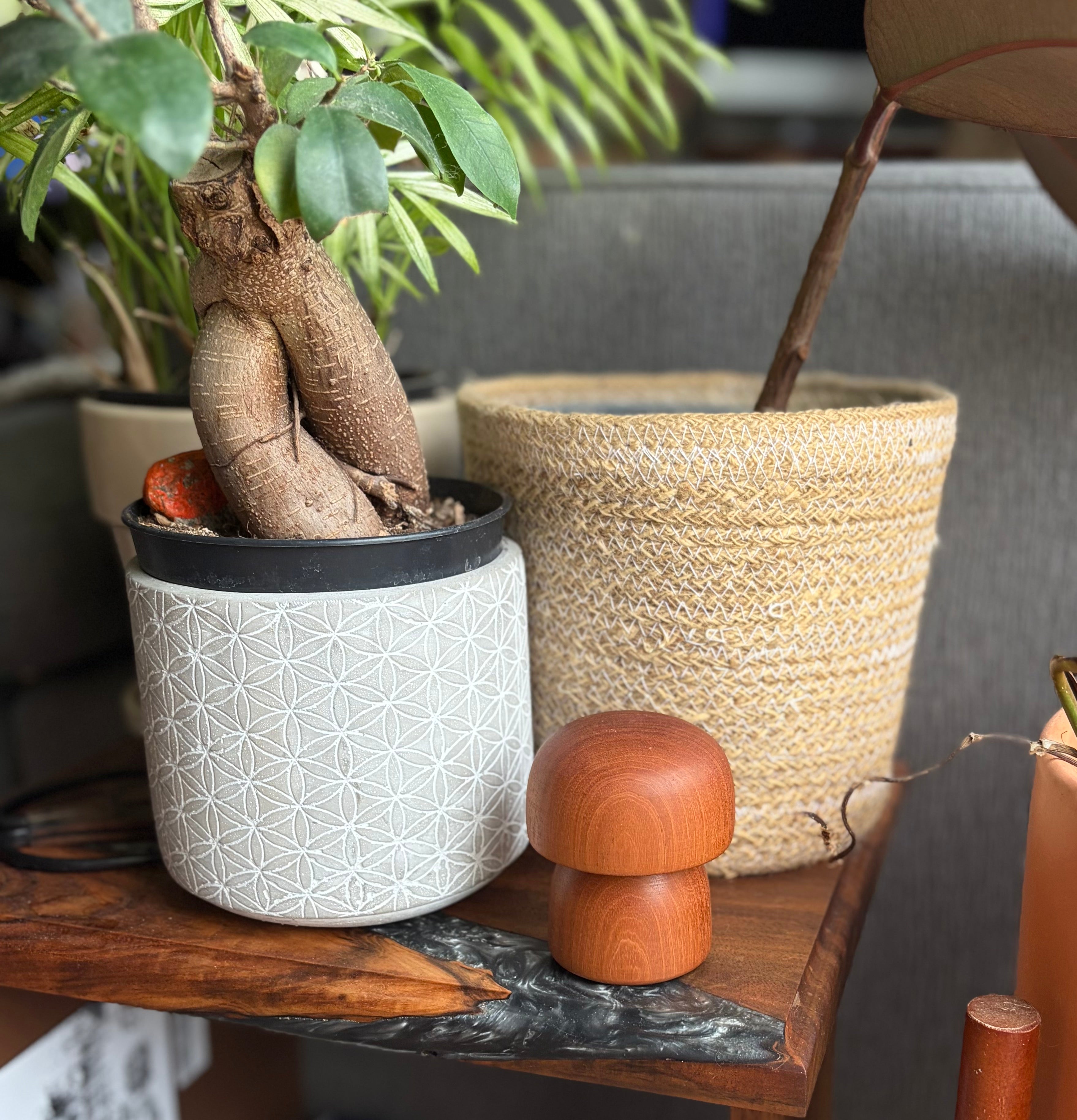 Hand Turned Mahogany Mushroom