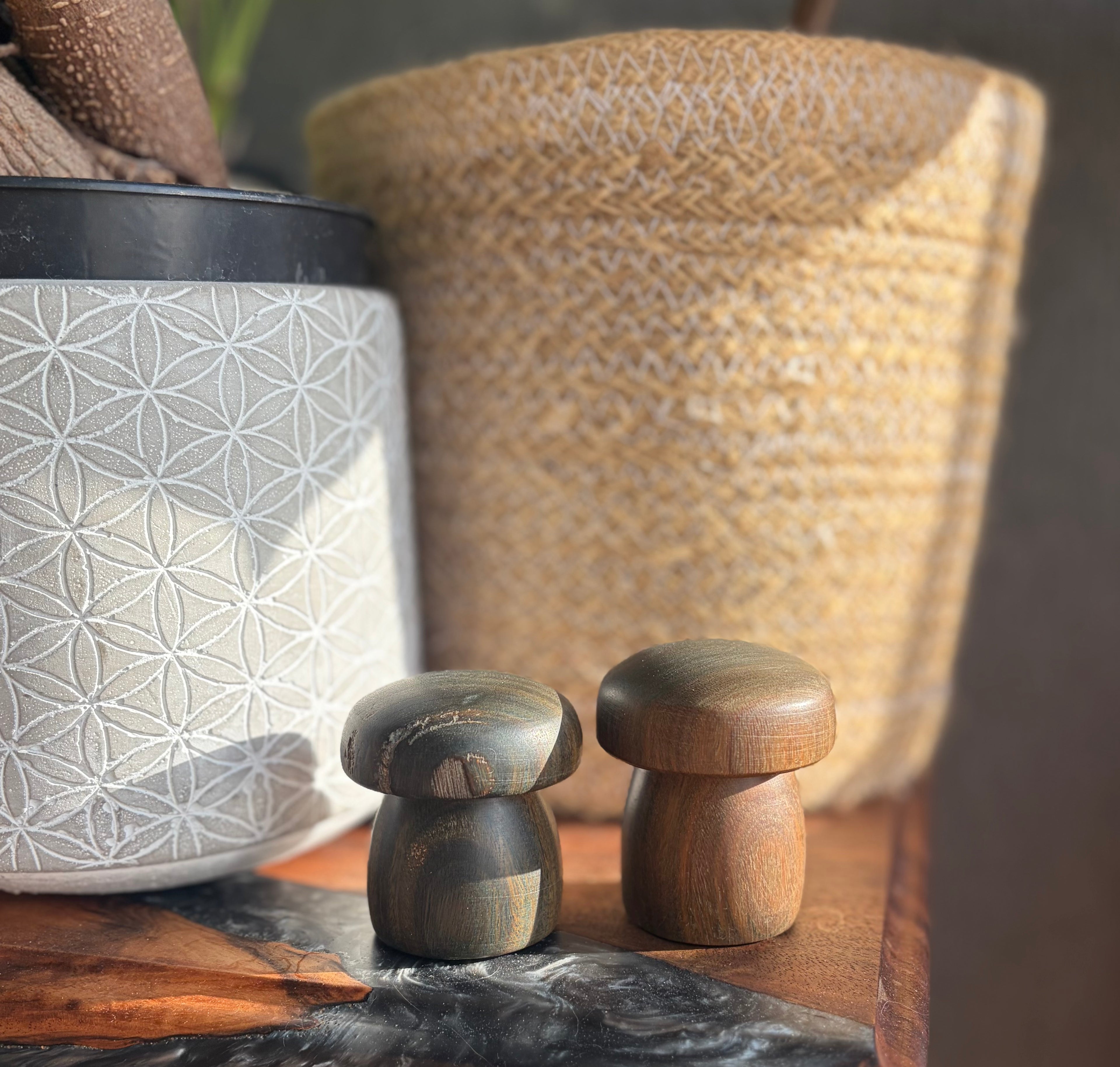 Handturned Lignum Vitae Wood Mushroom Set – Handmade Woodland Decor (Set of 2)