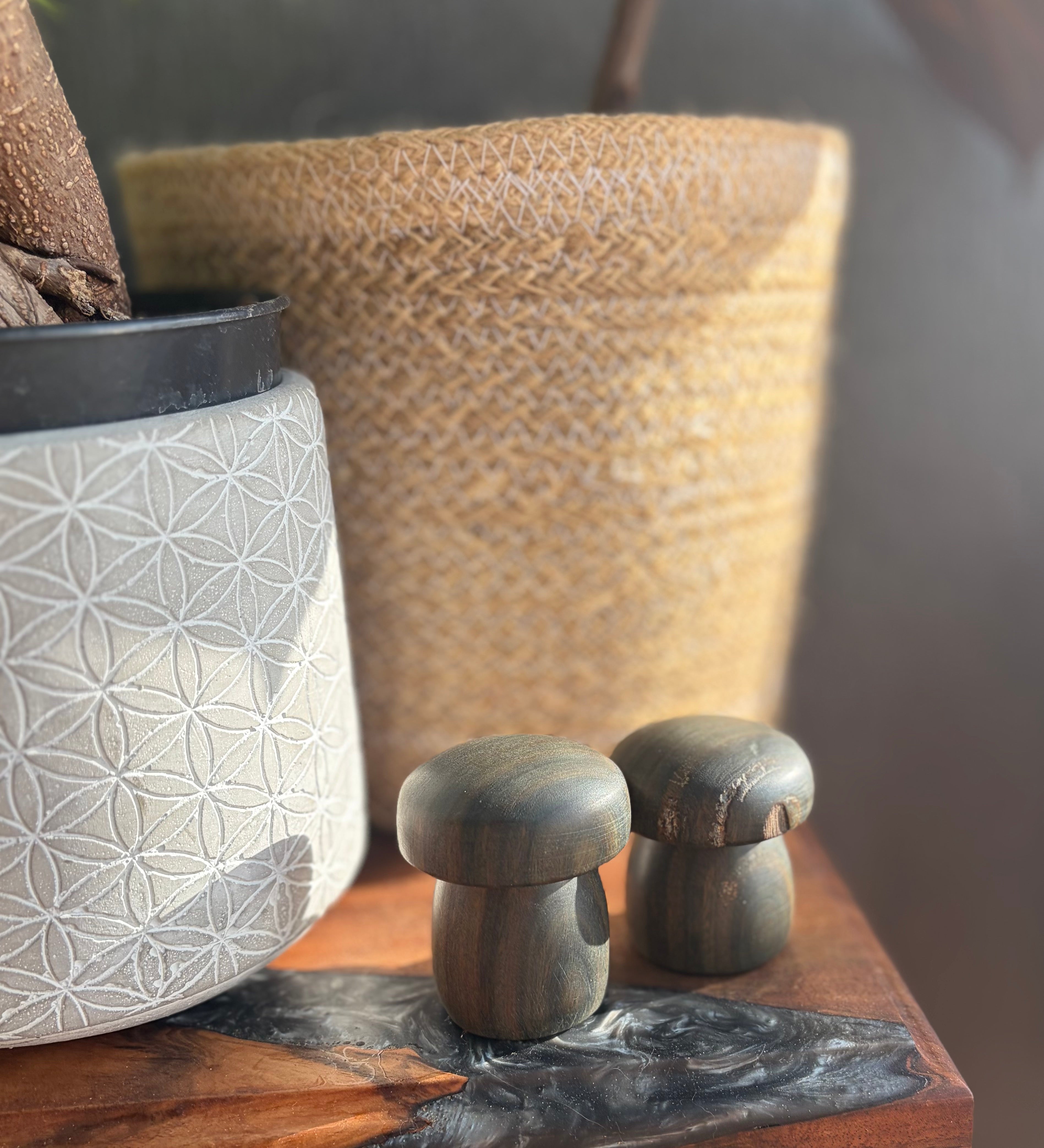 Handturned Lignum Vitae Wood Mushroom Set – Handmade Woodland Decor (Set of 2)