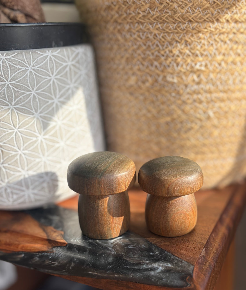 Handturned Lignum Vitae Wood Mushroom Set – Handmade Woodland Decor (Set of 2)