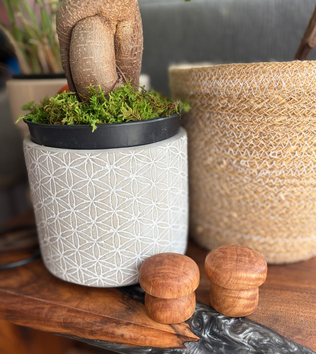 Handcrafted Tiger Maple Wood Mushroom Set | Turned Wooden Mushroom Decor | Natural Woodland Shelf Decor